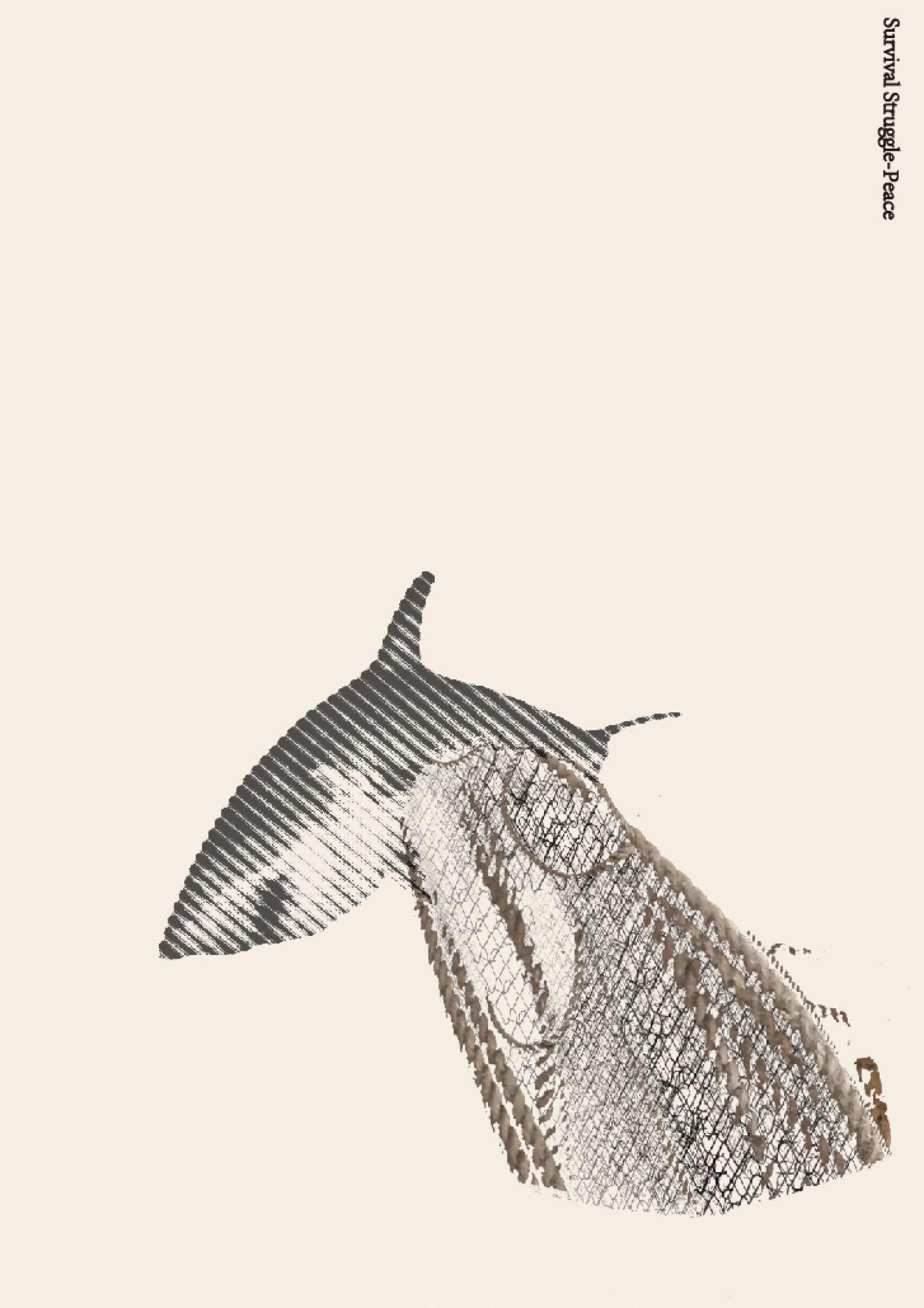 第62回宝塚記念 クロノジェネシスポスター B1サイズ 第62回宝塚記念 クロノジェネシスポスター B1サイズ 競馬 JRA 宝塚記念